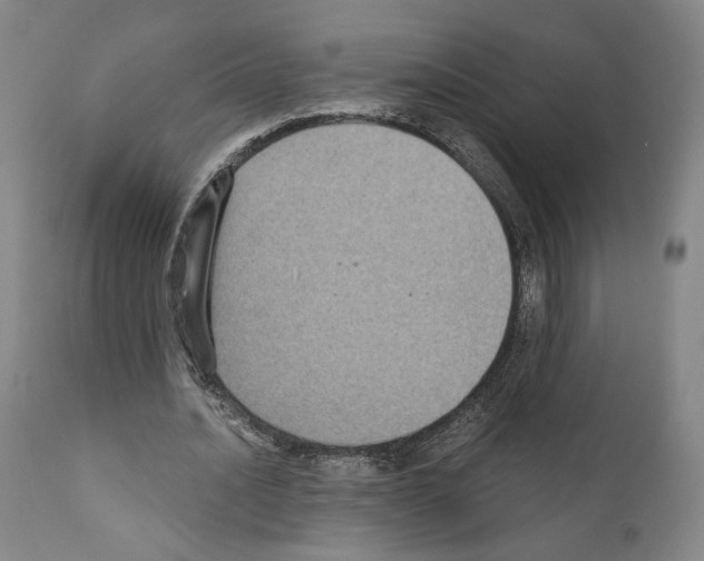 X0000110890628200907301543