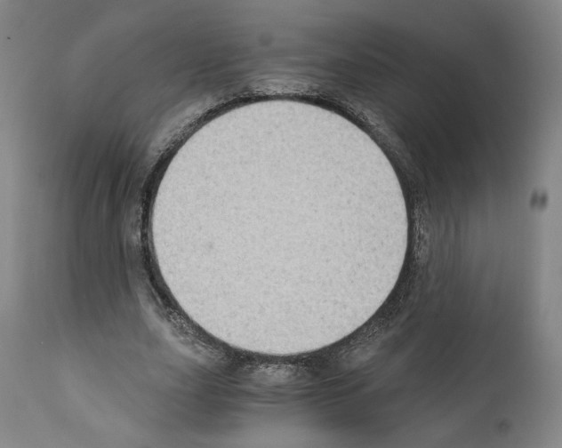 X0000110890631200907301543