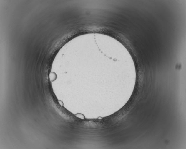 X0000110890633200907301543