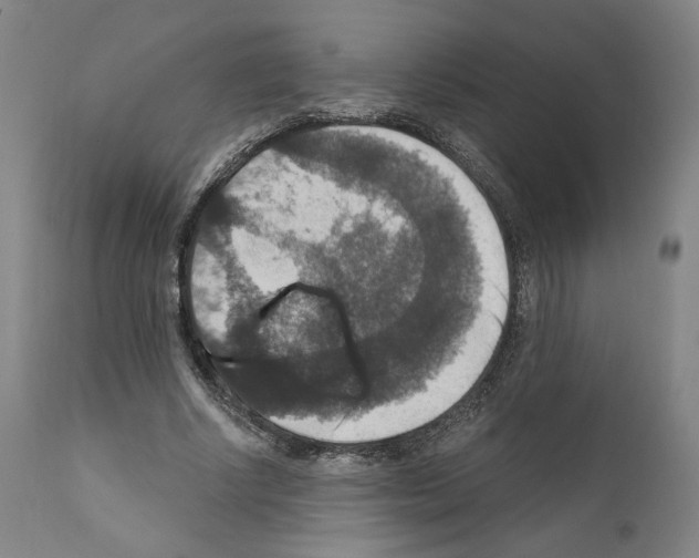 X0000110890634200907301543