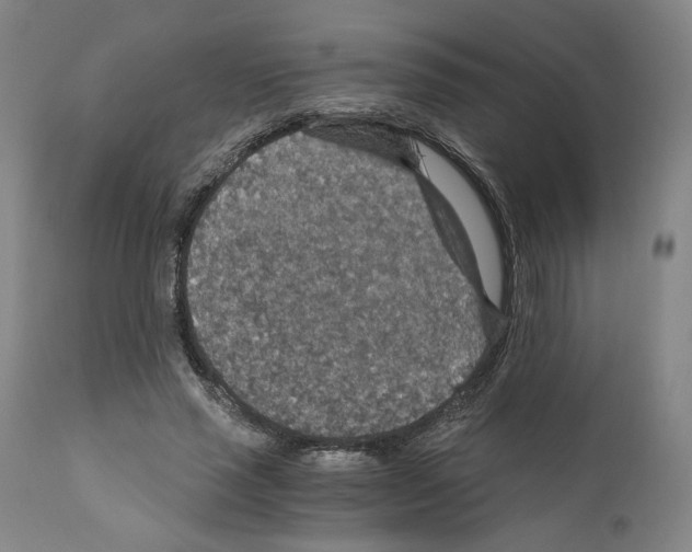 X0000110890637200907301543