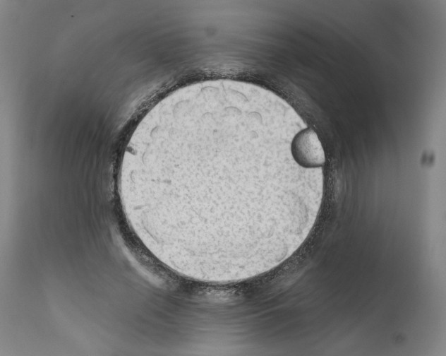 X0000110890638200907301543