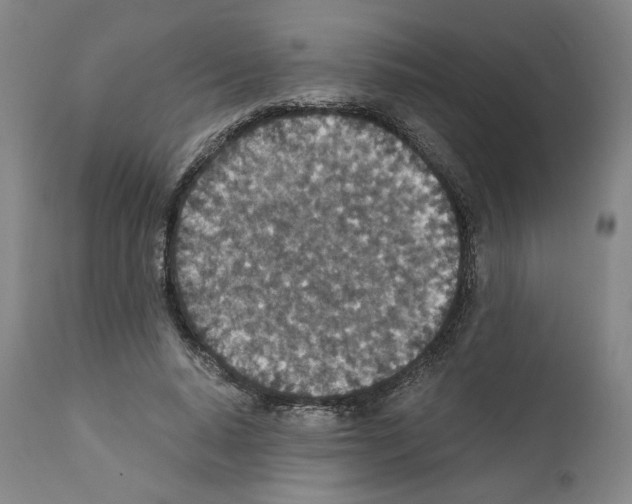 X0000110890640200907301543