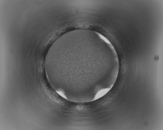 X0000110890641200907301543