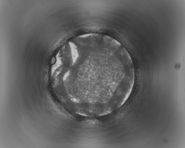 X0000110890642200907301543