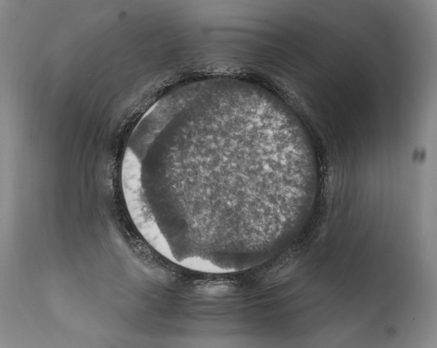 X0000110890643200907301543