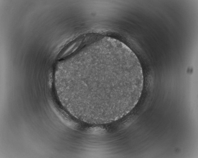 X0000110890644200907301543