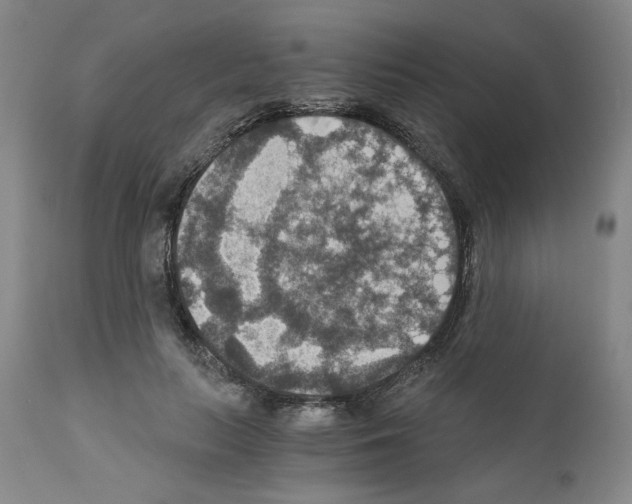 X0000110890647200907301543