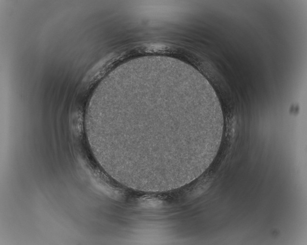 X0000110890648200907301543