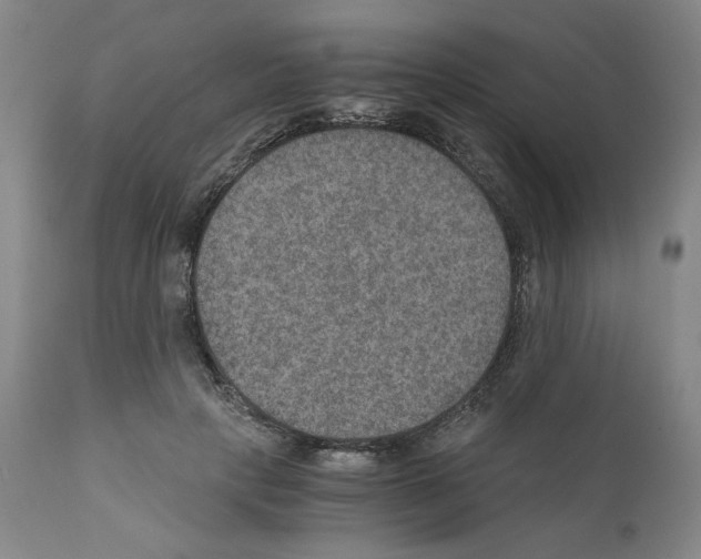 X0000110890649200907301543