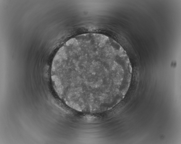X0000110890650200907301543