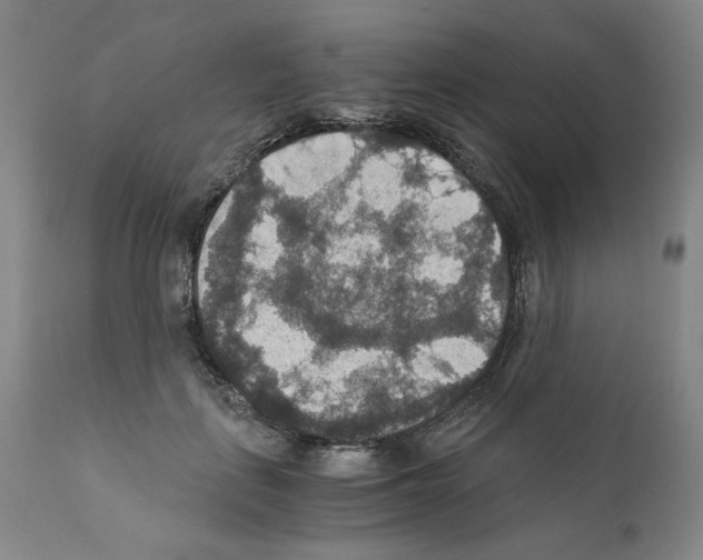 X0000110890651200907301544