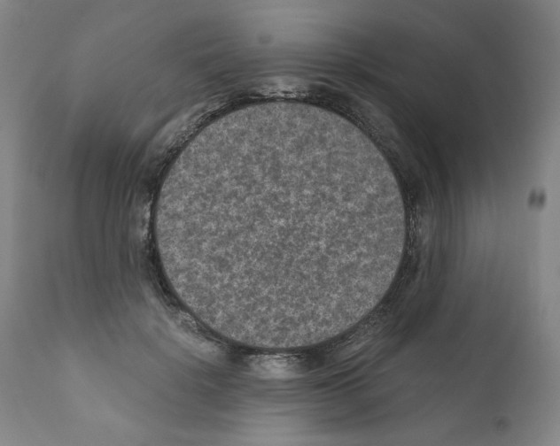 X0000110890652200907301544