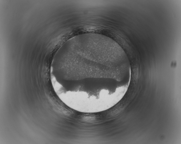 X0000110890653200907301544