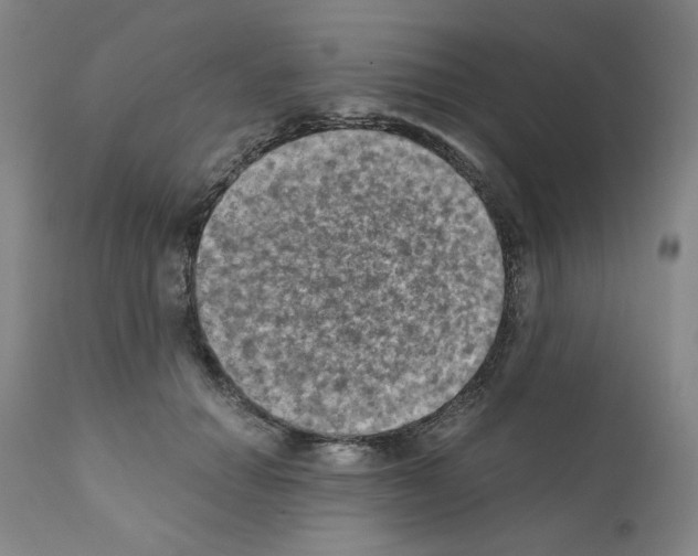 X0000110890654200907301544