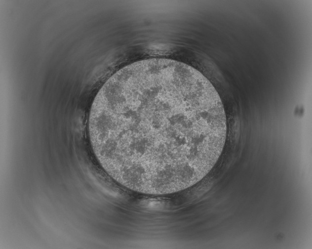 X0000110890655200907301544