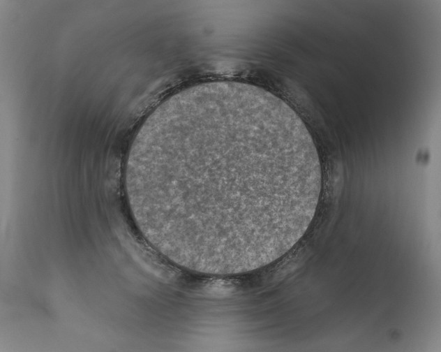 X0000110890656200907301544