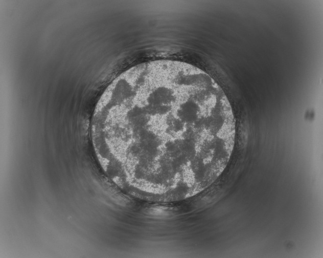 X0000110890657200907301544