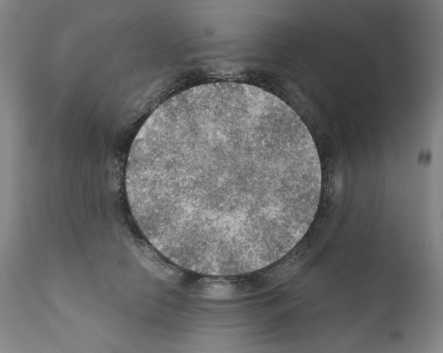 X0000110890658200907301544