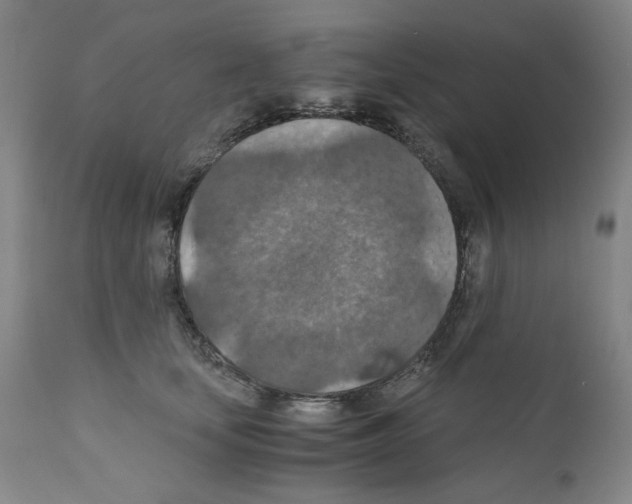X0000110890659200907301544