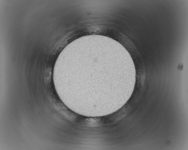 X0000110890660200907301544
