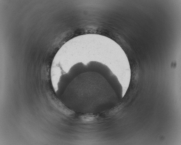X0000110890661200907301544