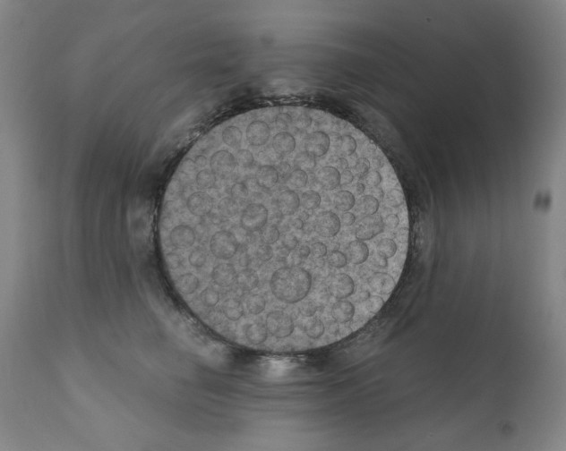 X0000110890662200907301544