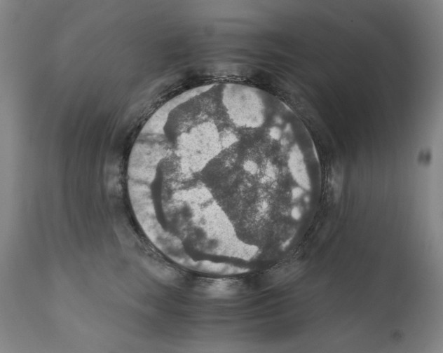 X0000110890663200907301544