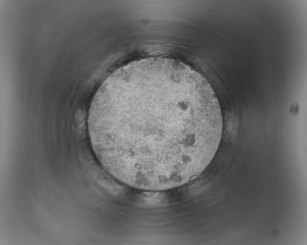 X0000110890667200907301544