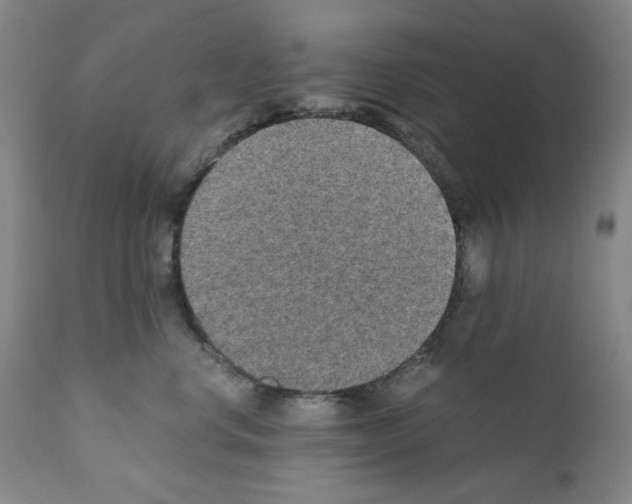 X0000110890668200907301544