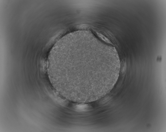 X0000110890669200907301544