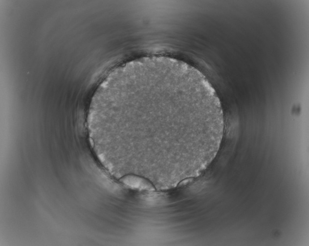X0000110890670200907301544