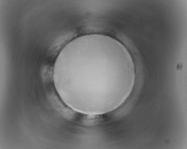 X0000110890672200907301544