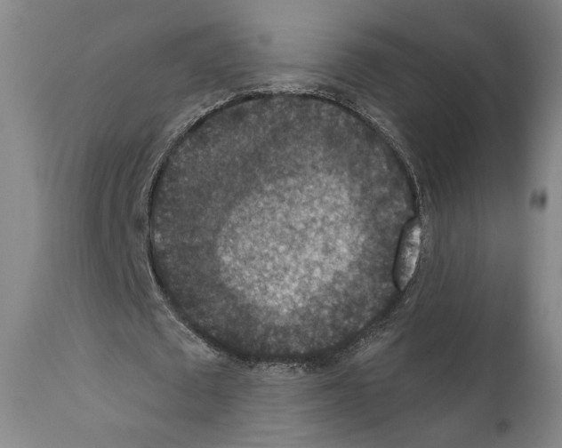 X0000110890673200907301543