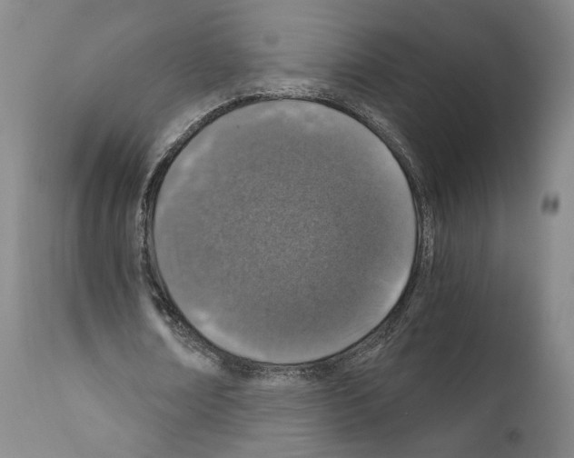 X0000110890674200907301543
