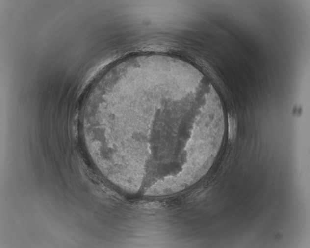 X0000110890675200907301543