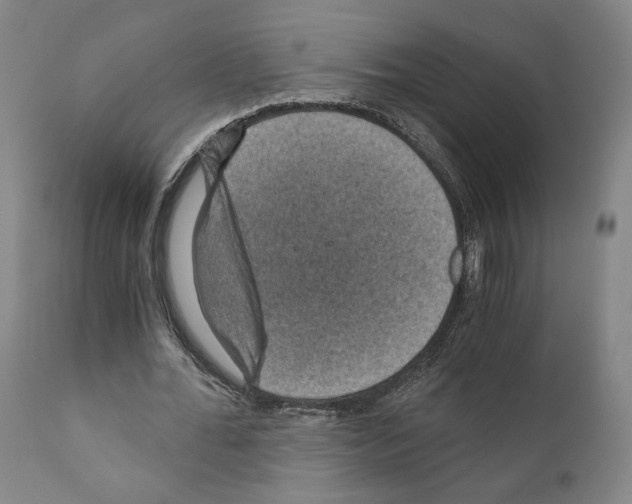 X0000110890676200907301543