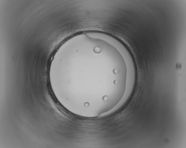 X0000110890677200907301543