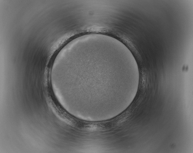 X0000110890678200907301543