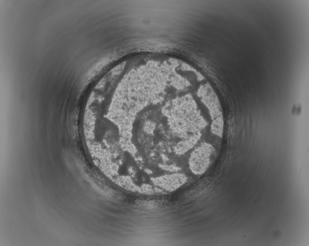 X0000110890679200907301543