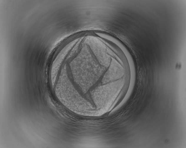 X0000110890680200907301543
