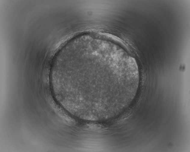 X0000110890681200907301543