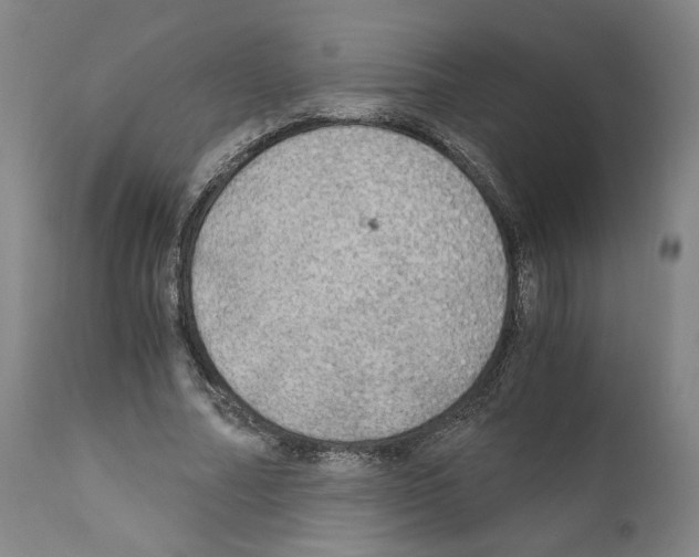 X0000110890682200907301543