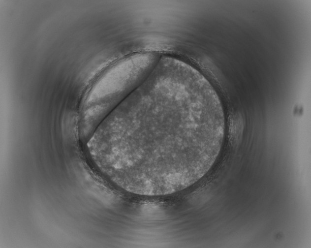 X0000110890684200907301543
