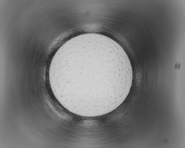 X0000110890686200907301543