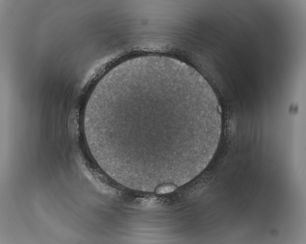 X0000110890688200907301543