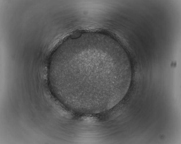 X0000110890689200907301543