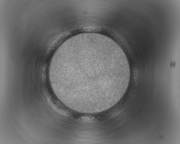X0000110890690200907301543