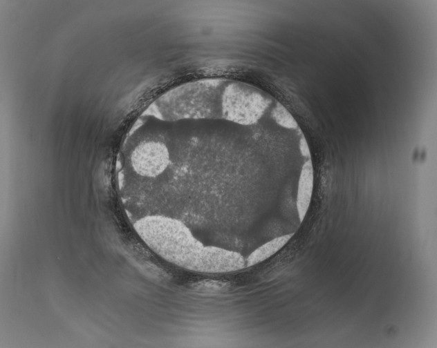 X0000110890691200907301543