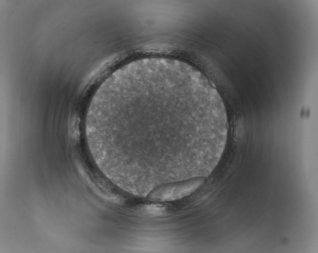 X0000110890692200907301543